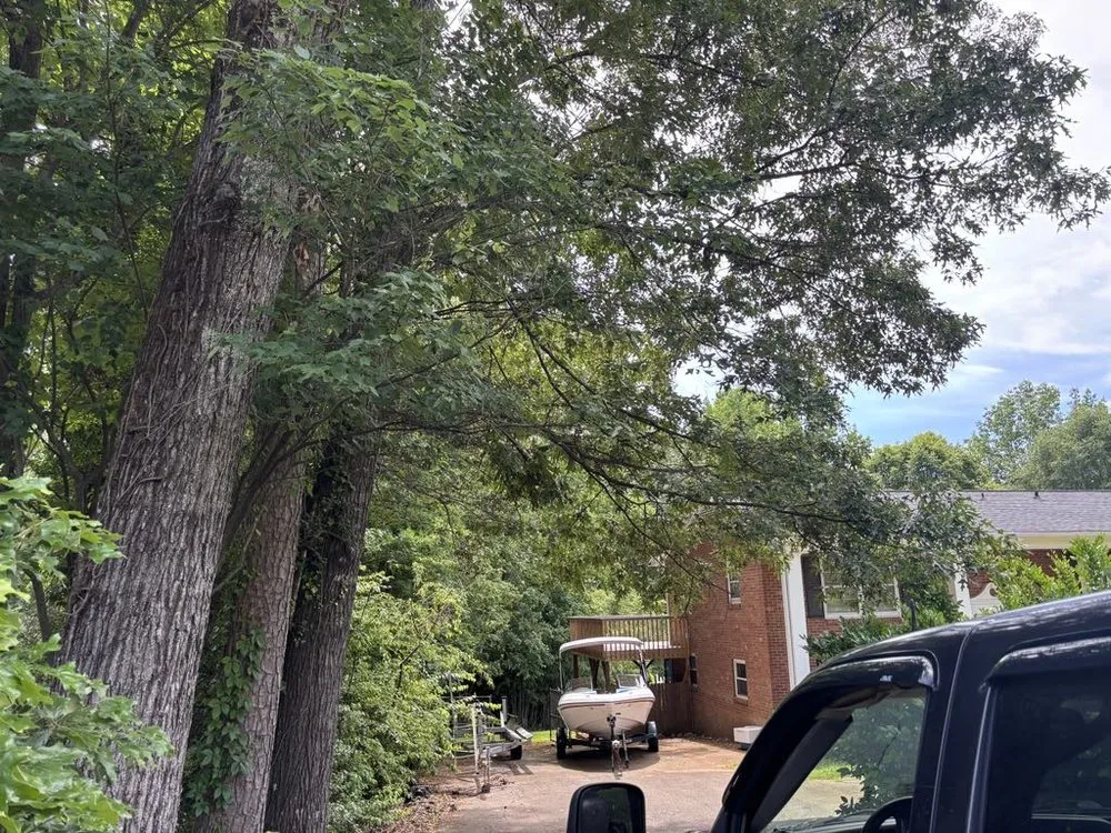 Trusted outdoor landscaping experts serving Millers Creek, NC - Harrold's Tree and Land Management