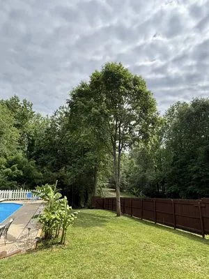 Harrold's Tree and Land Management