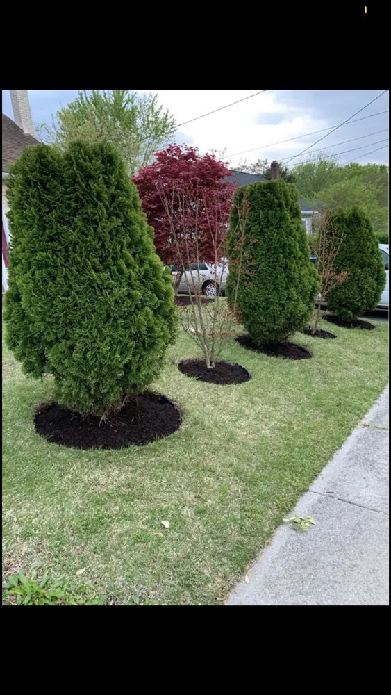 Top-rated residential landscaping in Aspen Hill, MD - Harry Jr Services Landscaping And Fertillizer