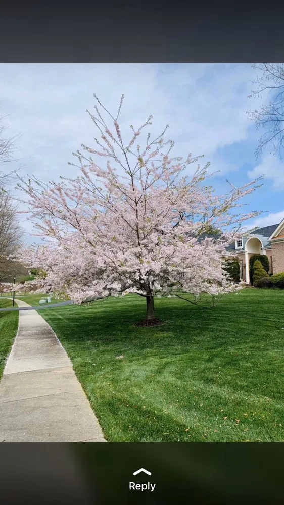 Top-rated landscape installation in Aspen Hill, MD - Harry Jr Services Landscaping And Fertillizer