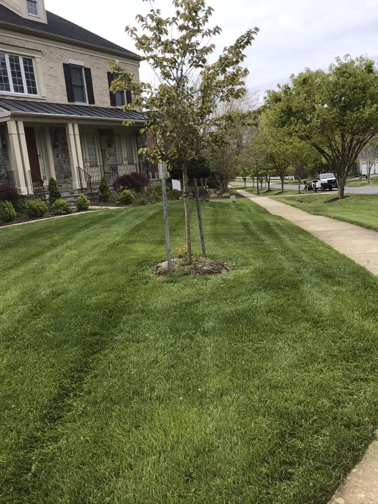 Local landscaping services for homes in Aspen Hill, MD by Harry Jr Services Landscaping And Fertillizer