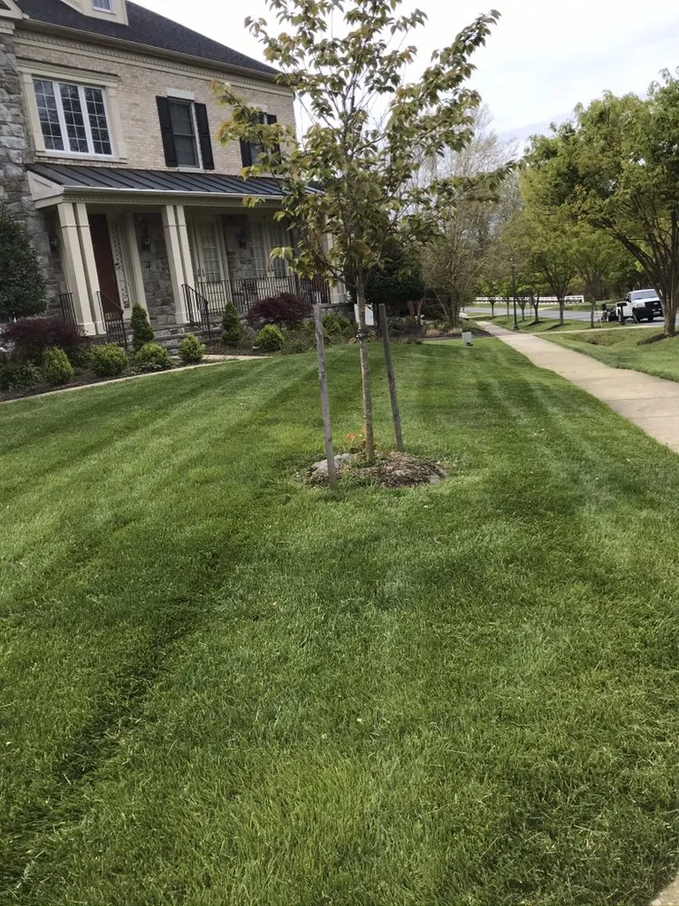 Custom landscape installation in Aspen Hill, MD - Harry Jr Services Landscaping And Fertillizer