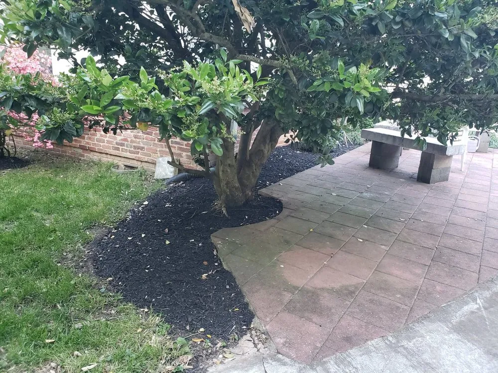 Professional landscape installation with custom design in Aspen Hill, MD by Harry Jr Services Landscaping And Fertillizer