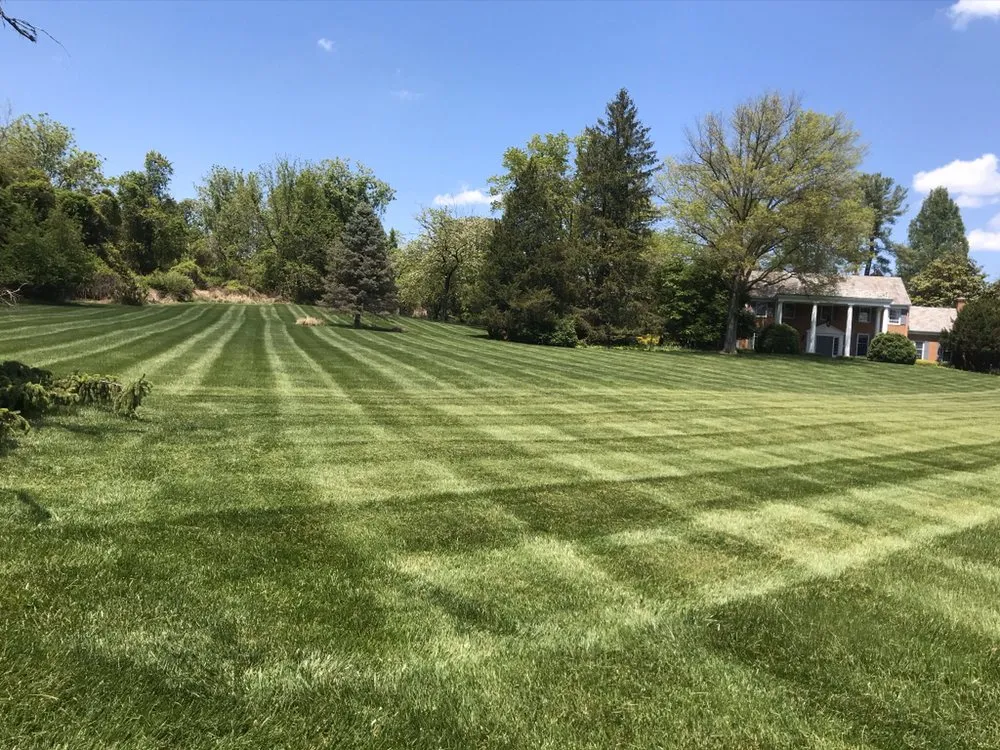 Professional lawn care service for outdoor upgrades across Aspen Hill, MD - Harry Jr Services Landscaping And Fertillizer