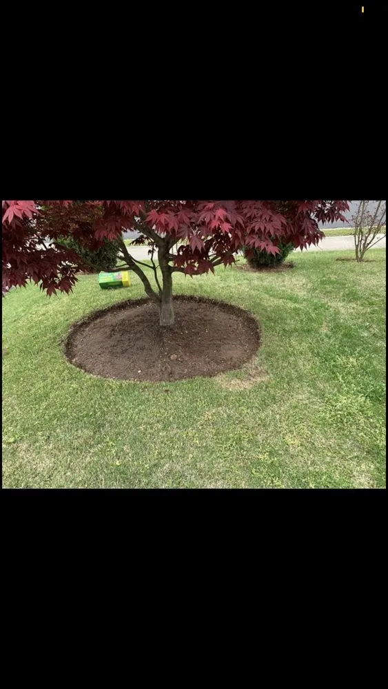 Trusted yard maintenance in Aspen Hill, MD - Harry Jr Services Landscaping And Fertillizer