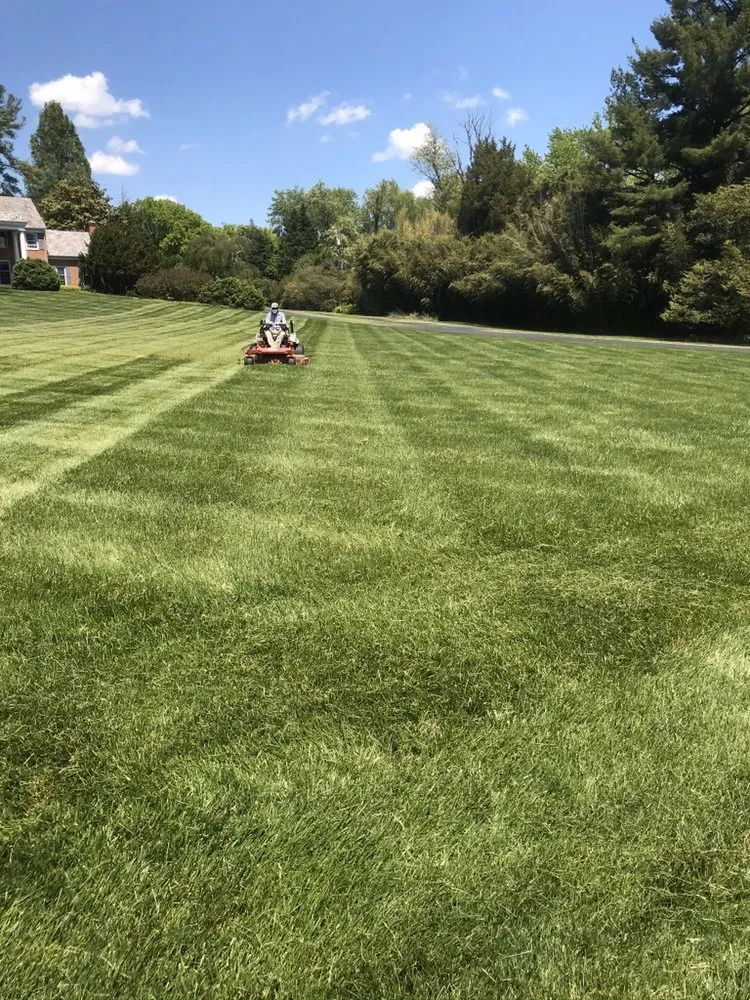 Professional yard cleanup service in Aspen Hill, MD - Harry Jr Services Landscaping And Fertillizer