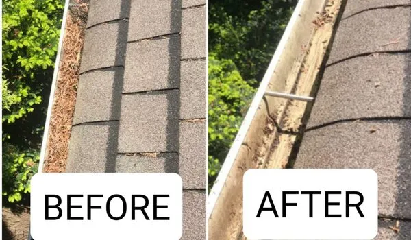 Harry Jr Services Landscaping And Fertillizer