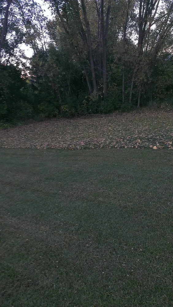 Expert landscaping services in Minneapolis, MN by Harry Skrypec Lawncare