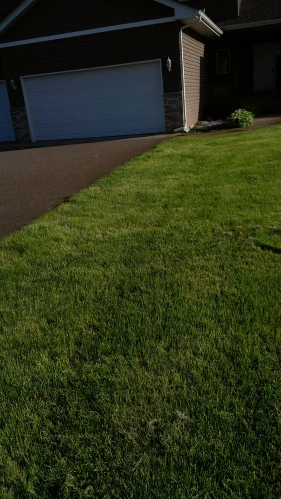 Custom yard cleanup service in Minneapolis, MN by Harry Skrypec Lawncare