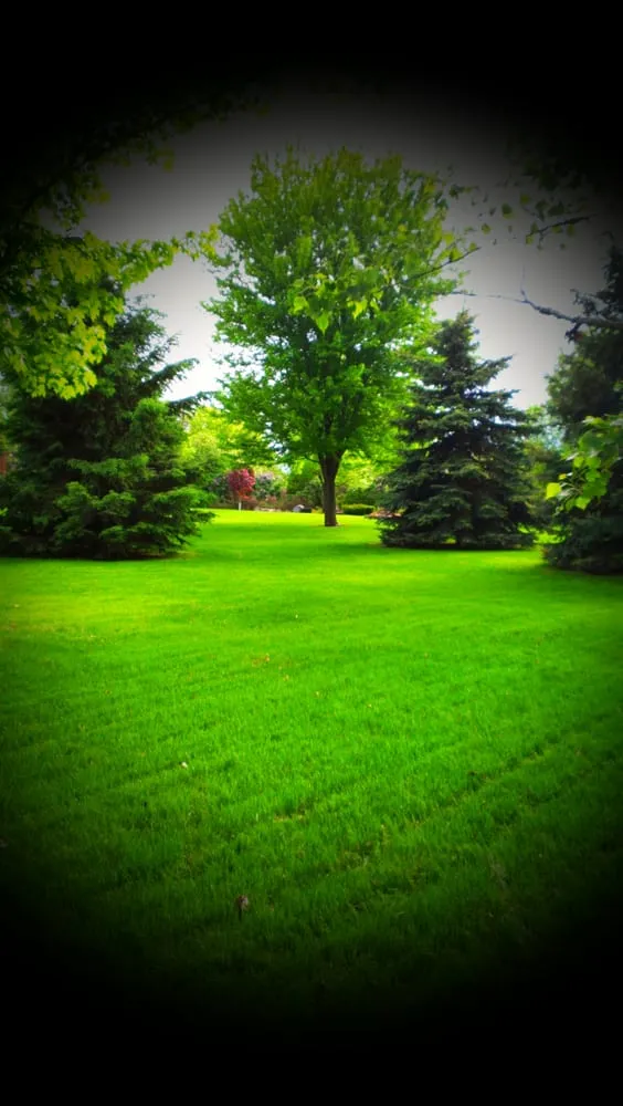 Local lawn care service for outdoor upgrades in Minneapolis, MN by Harry Skrypec Lawncare