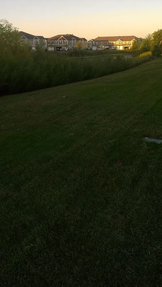 Top-rated yard cleanup service experts serving Minneapolis, MN - Harry Skrypec Lawncare