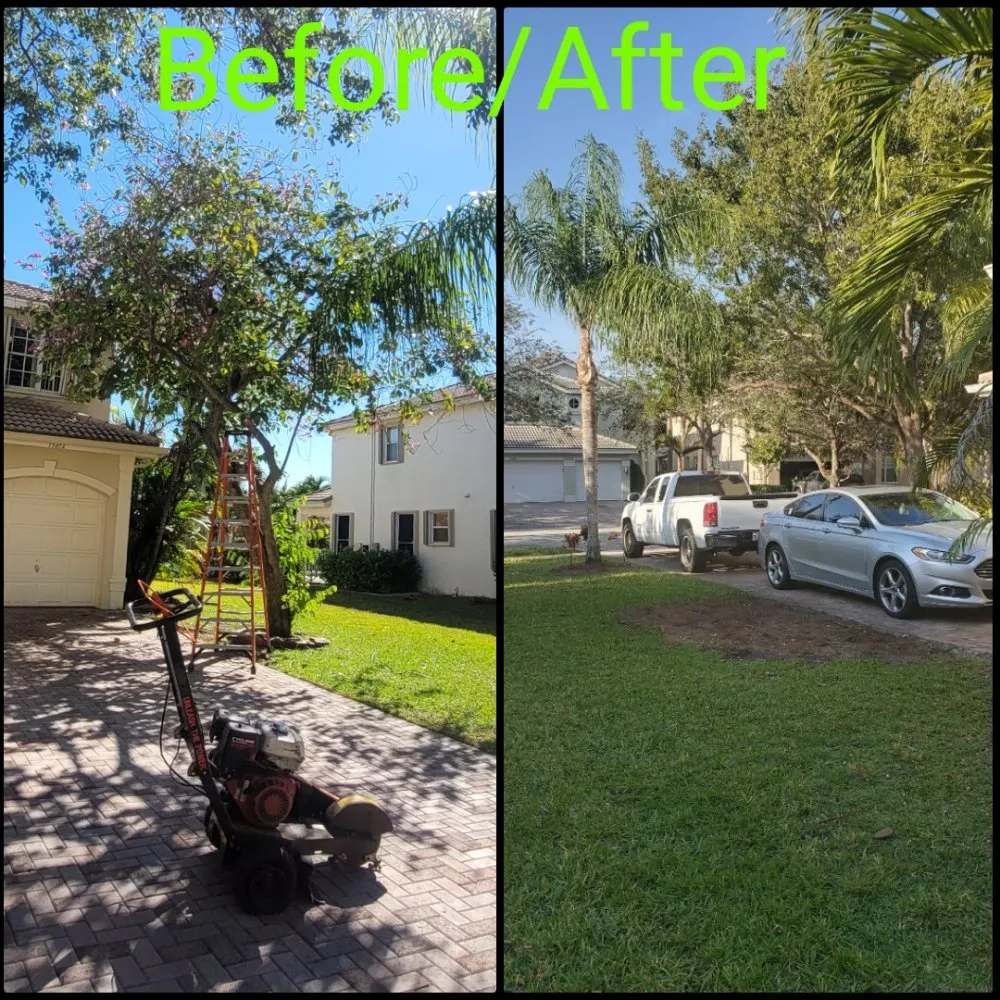 Reliable yard maintenance near you in Pembroke Pines, FL by Harry The Lawn Ranger