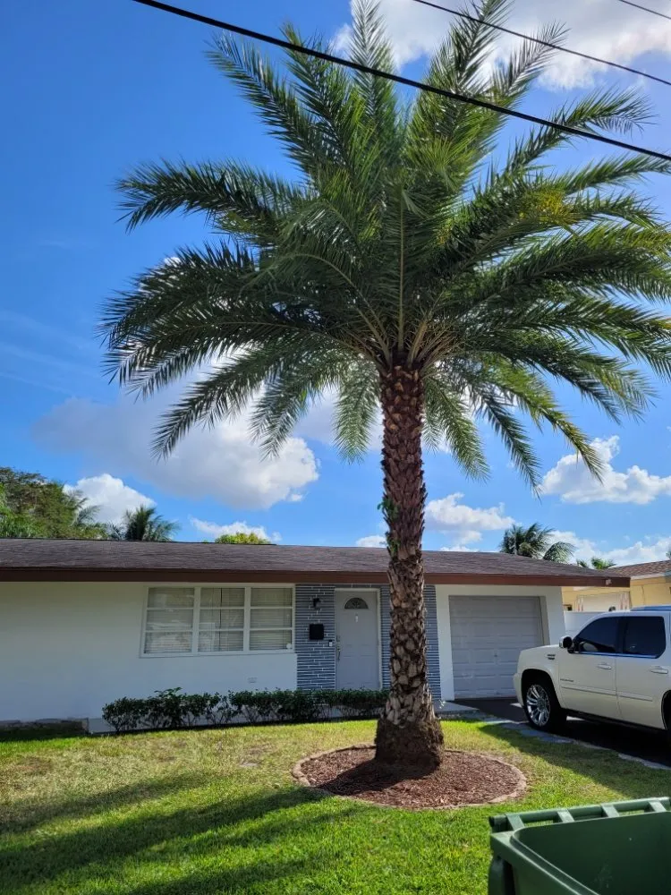 Affordable lawn care service in Pembroke Pines, FL by Harry The Lawn Ranger