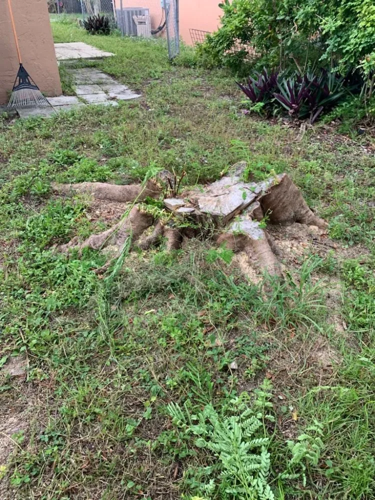 Local garden landscaping in Pembroke Pines, FL by Harry The Lawn Ranger