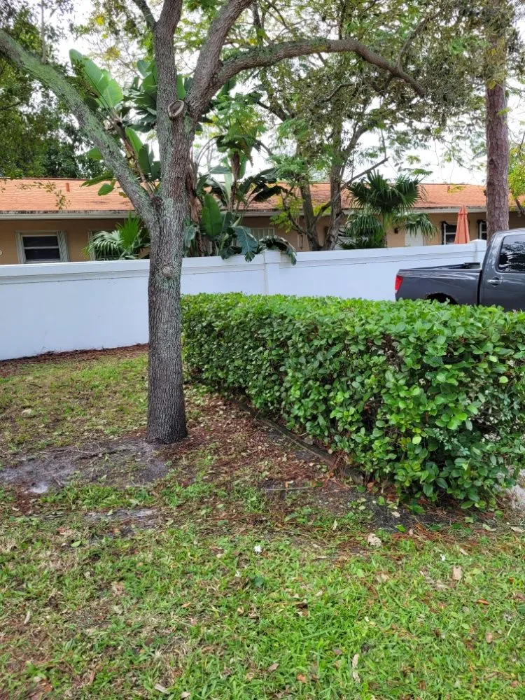 Trusted landscape design in Pembroke Pines, FL - Harry The Lawn Ranger