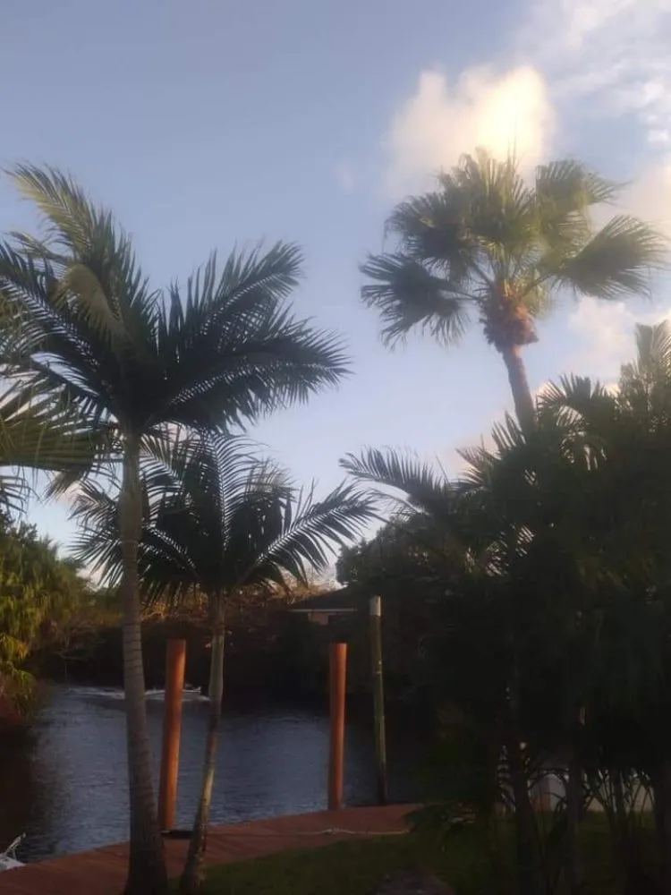 Trusted yard cleanup service in Pembroke Pines, FL - Harry The Lawn Ranger