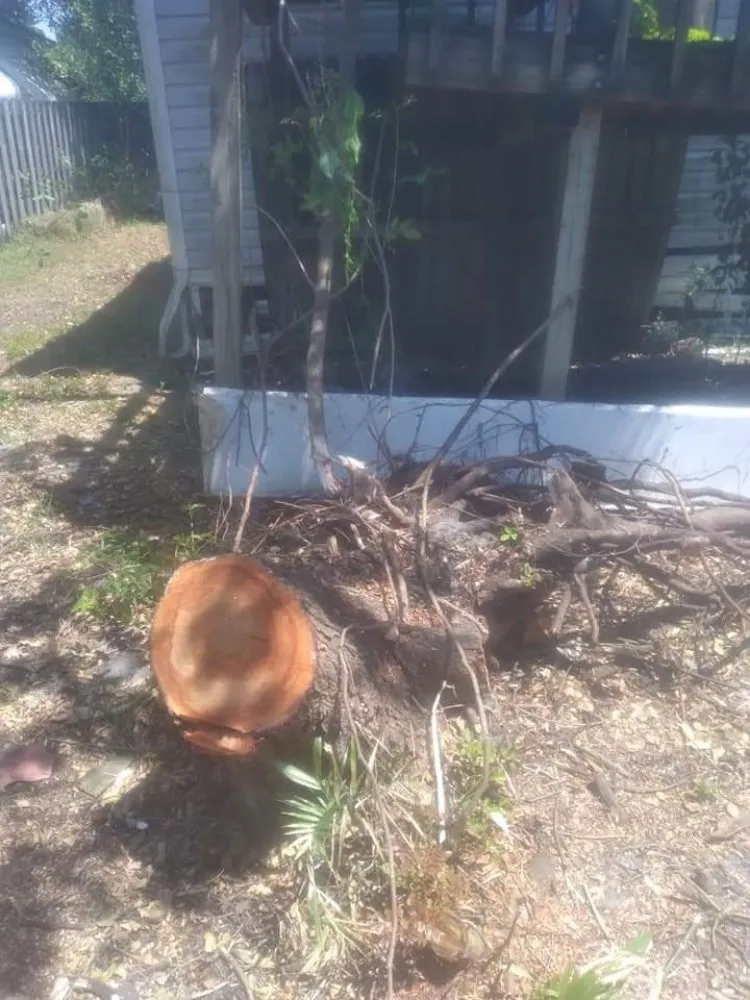 Affordable garden landscaping in Pembroke Pines, FL by Harry The Lawn Ranger