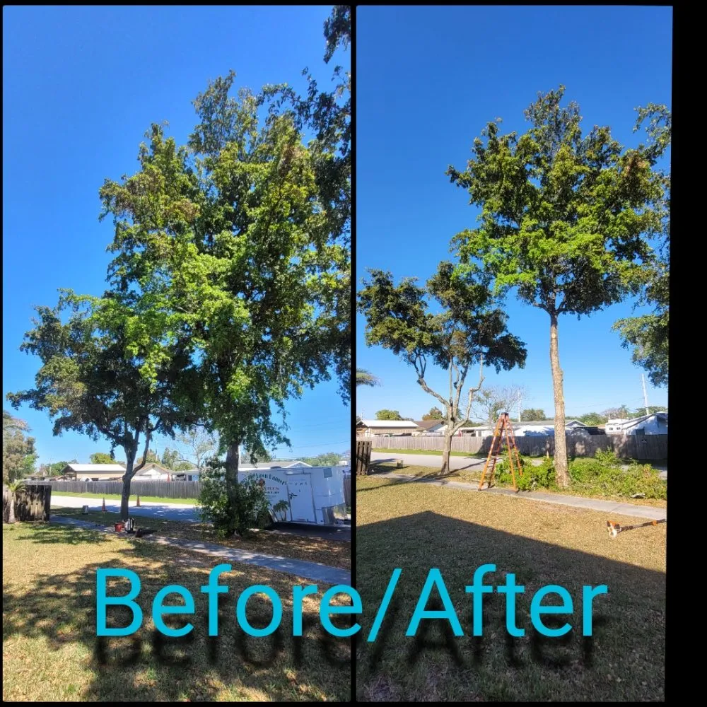 Professional landscape installation in Pembroke Pines, FL by Harry The Lawn Ranger