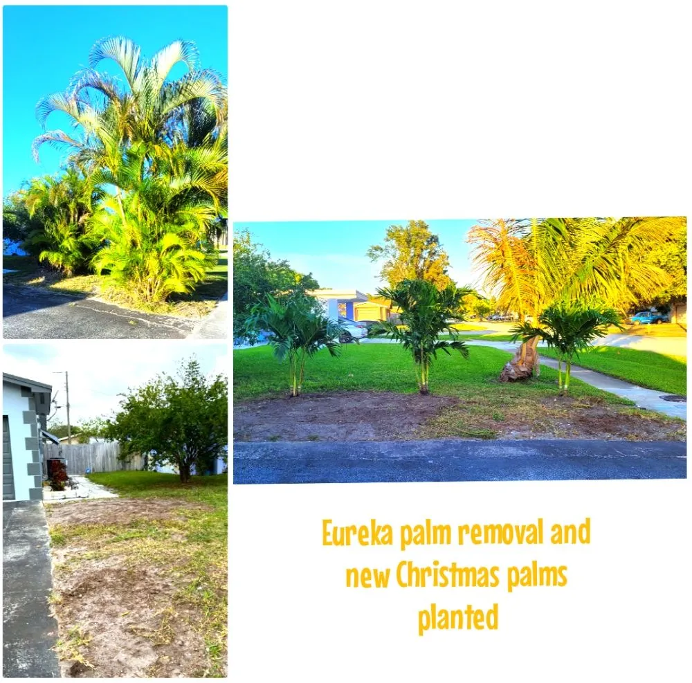 Reliable landscaping services in Pembroke Pines, FL - Harry The Lawn Ranger