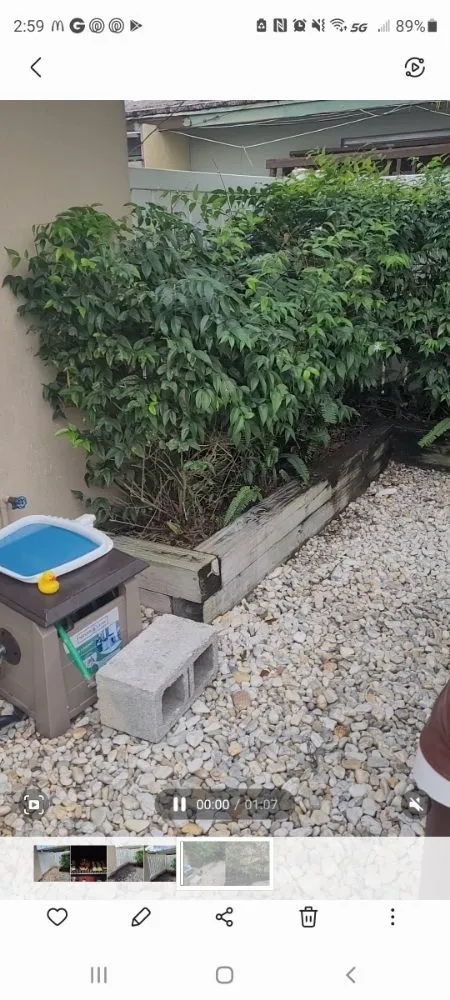 Trusted landscaping services in Pembroke Pines, FL by Harry The Lawn Ranger