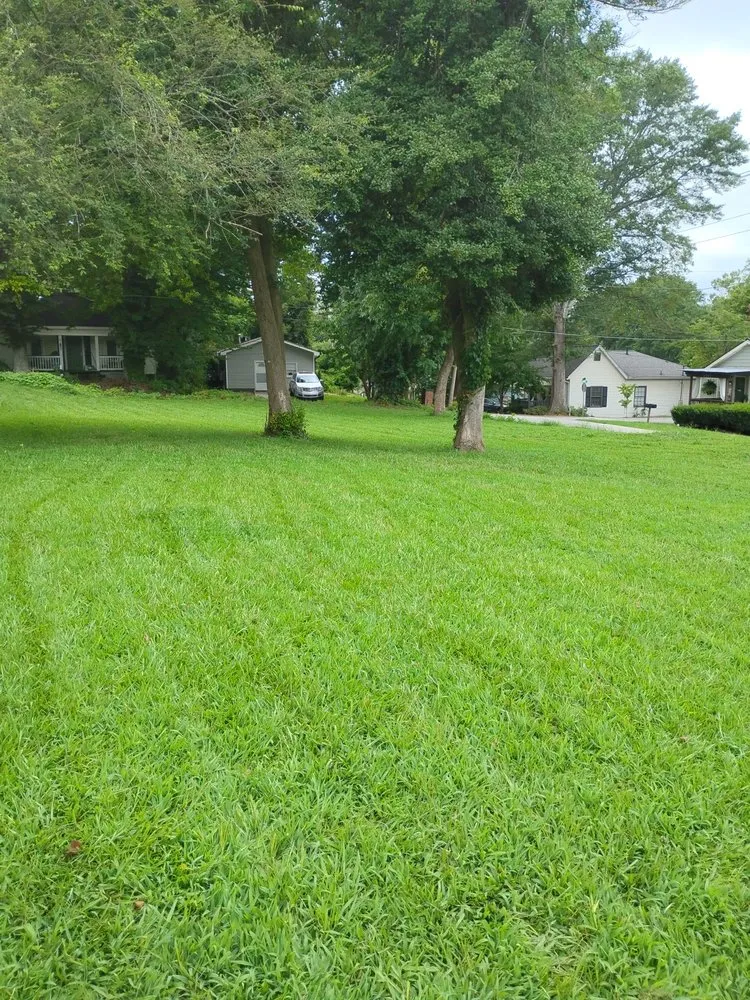 Professional landscaping services with custom design in Flowery Branch, GA by Harry's Landscape