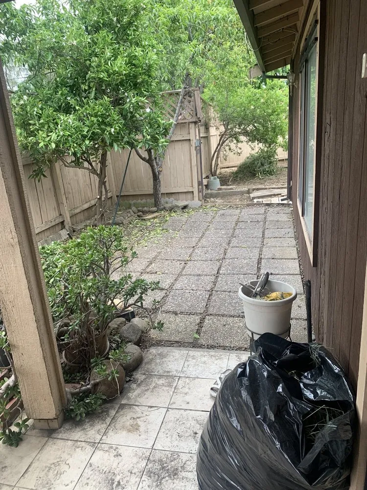 Local yard maintenance in Sacramento, CA - Harry's Landscaping and Maintenance