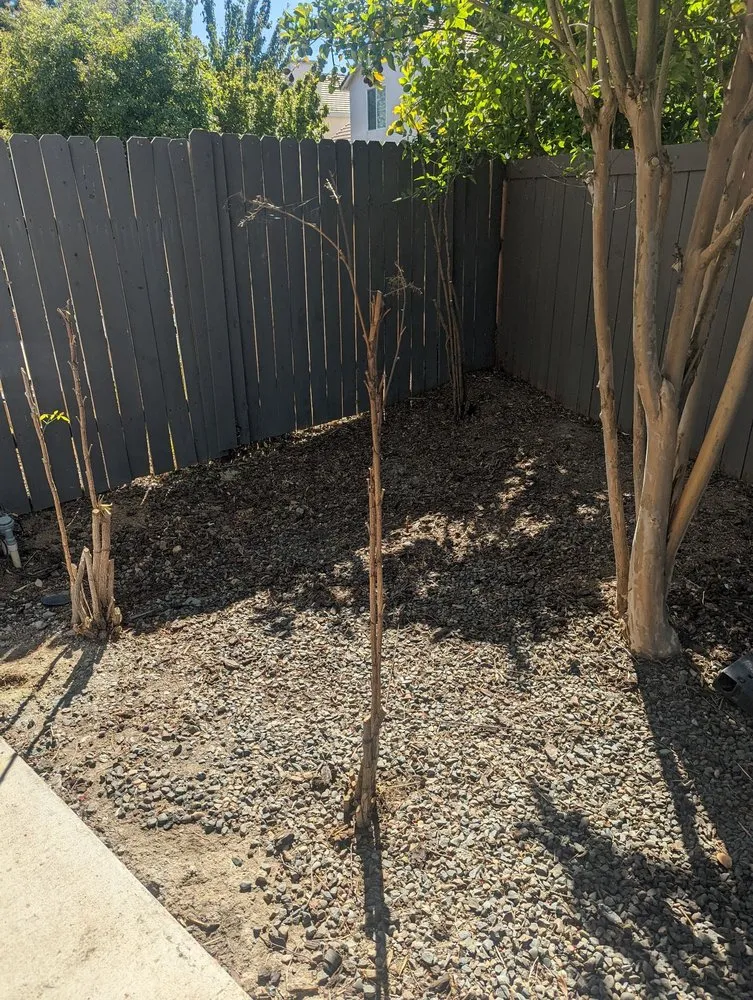 Reliable lawn care service in Sacramento, CA by Harry's Landscaping and Maintenance