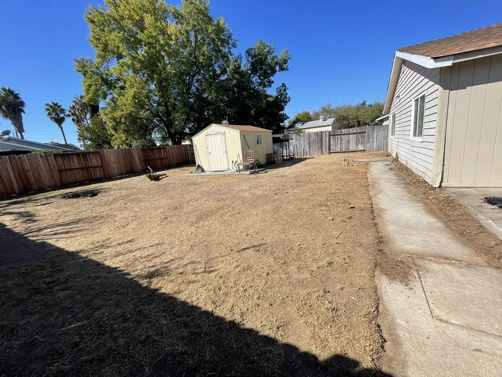 Custom yard maintenance experts serving Sacramento, CA - Harry's Landscaping and Maintenance