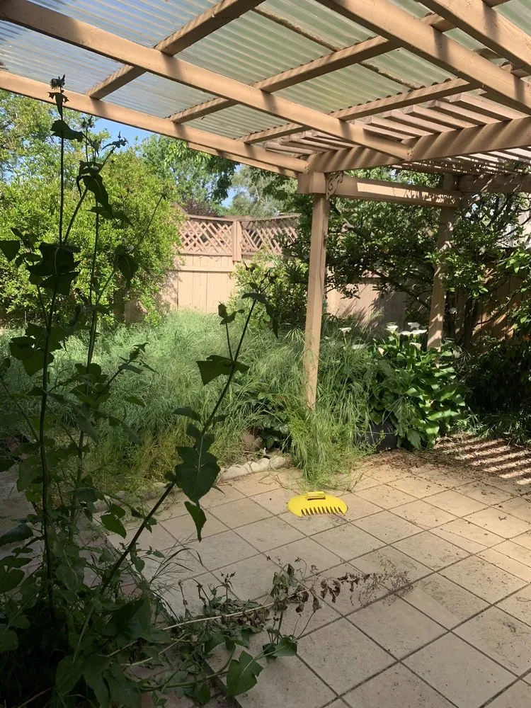 Affordable lawn care service experts serving Sacramento, CA - Harry's Landscaping and Maintenance