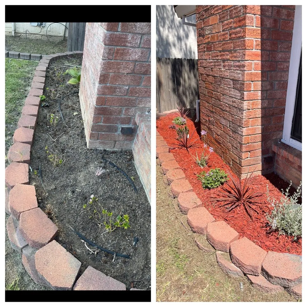 Custom landscaping services experts serving Sacramento, CA - Harry's Landscaping and Maintenance