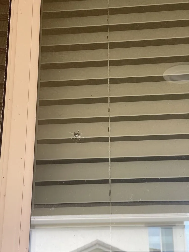 Top-rated landscape design in Sacramento, CA - Harry's Landscaping and Maintenance