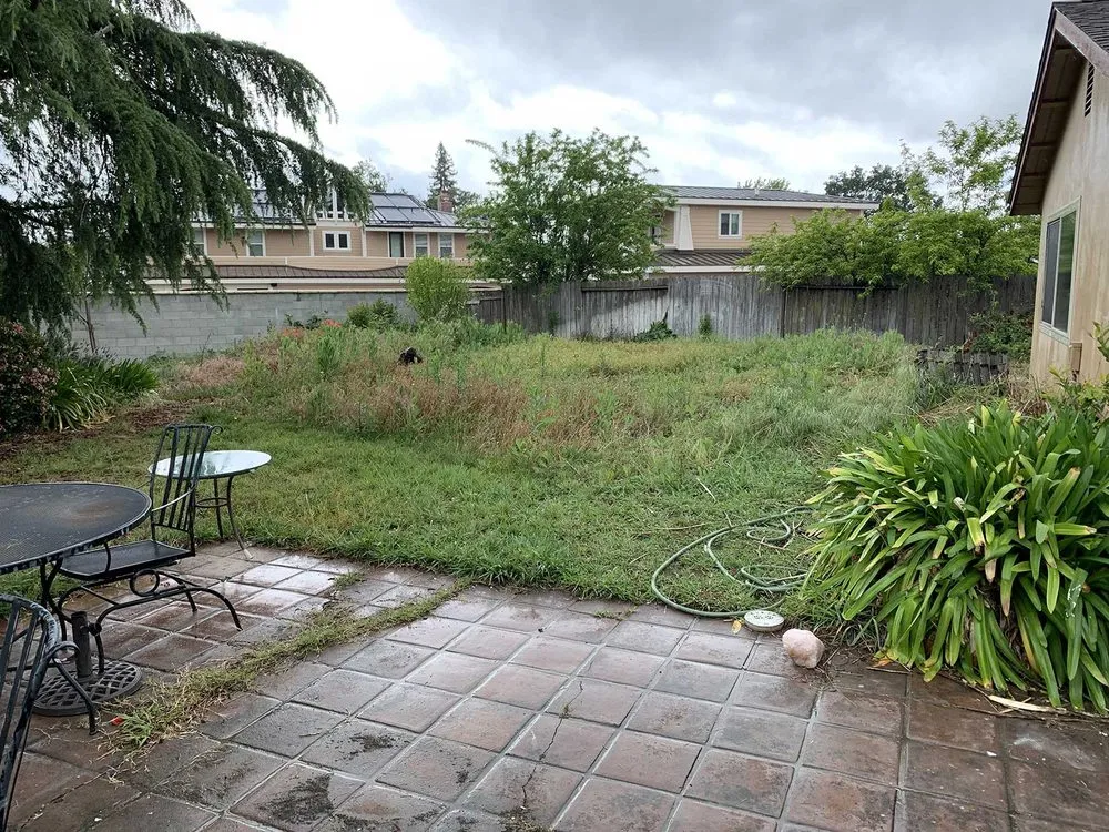 Expert yard cleanup service in Sacramento, CA by Harry's Landscaping and Maintenance