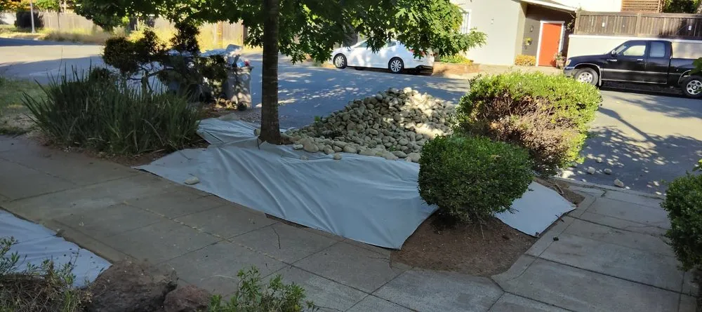 Affordable lawn care service in Sacramento, CA by Harry's Landscaping and Maintenance