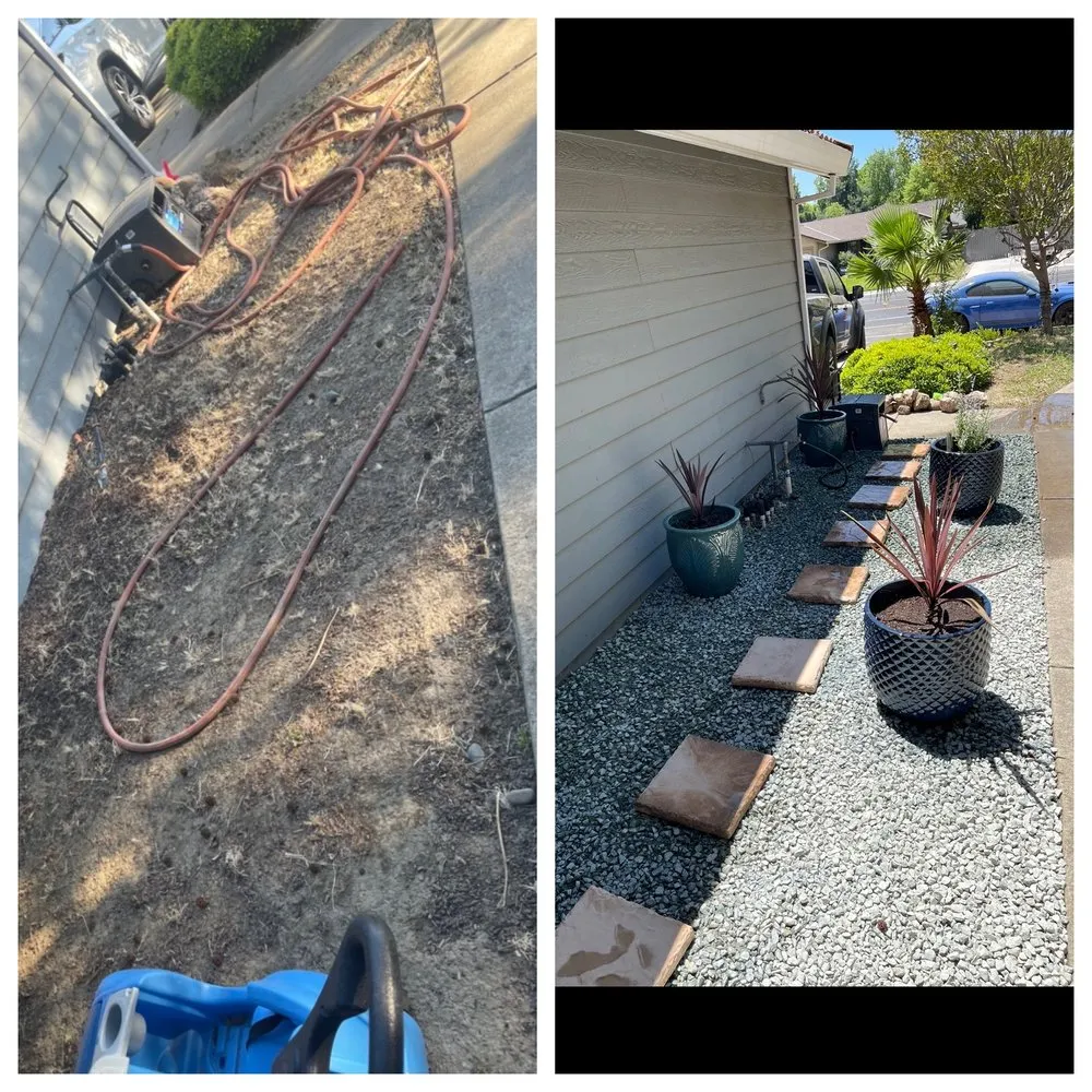 Top-rated residential landscaping in Sacramento, CA - Harry's Landscaping and Maintenance