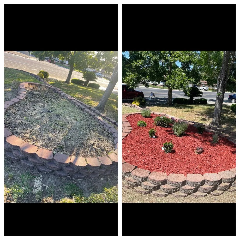 Expert lawn care service experts serving Sacramento, CA - Harry's Landscaping and Maintenance