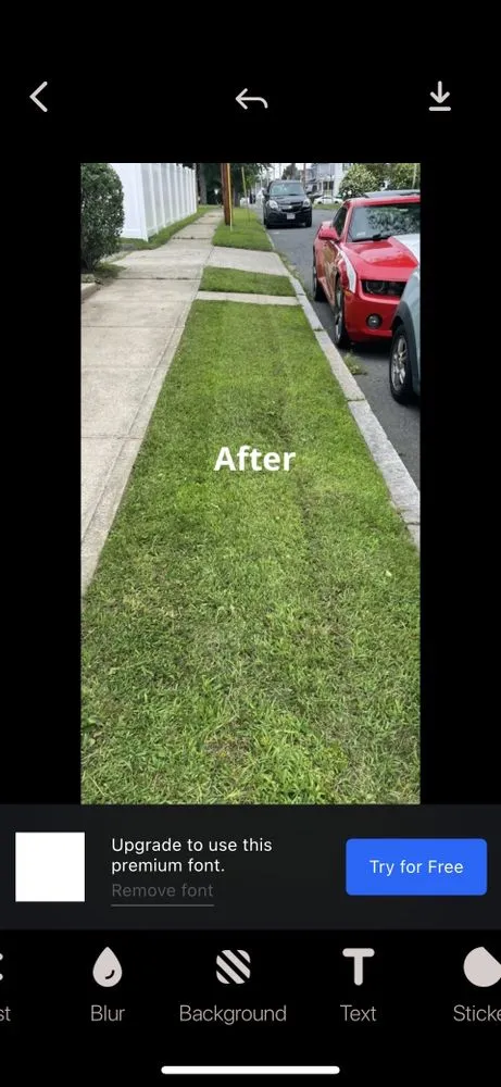 Professional landscape installation in Chicopee, MA - Harry’s landscaping