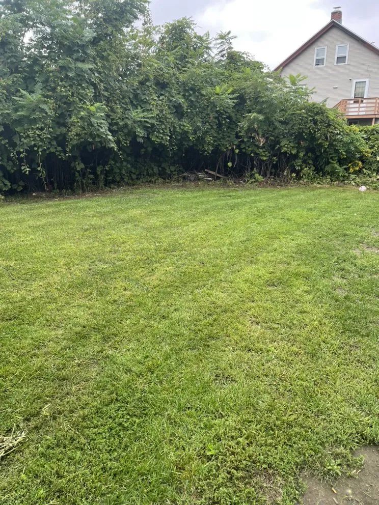 Reliable yard maintenance in Chicopee, MA - Harry’s landscaping