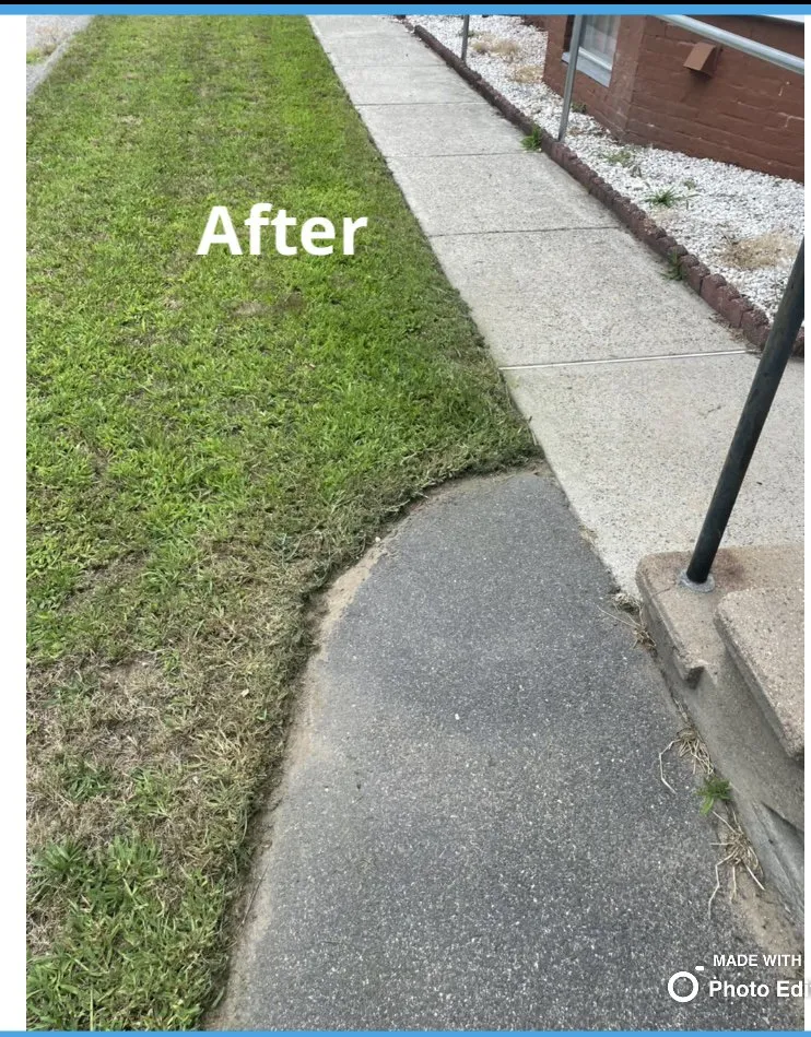 Top-rated lawn care service for year-round maintenance across Chicopee, MA - Harry’s landscaping