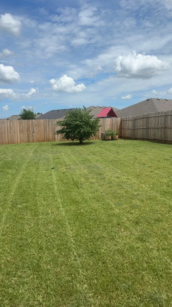 Expert lawn care service for beautiful yards across Norman, OK - Harry’s Lawn Care