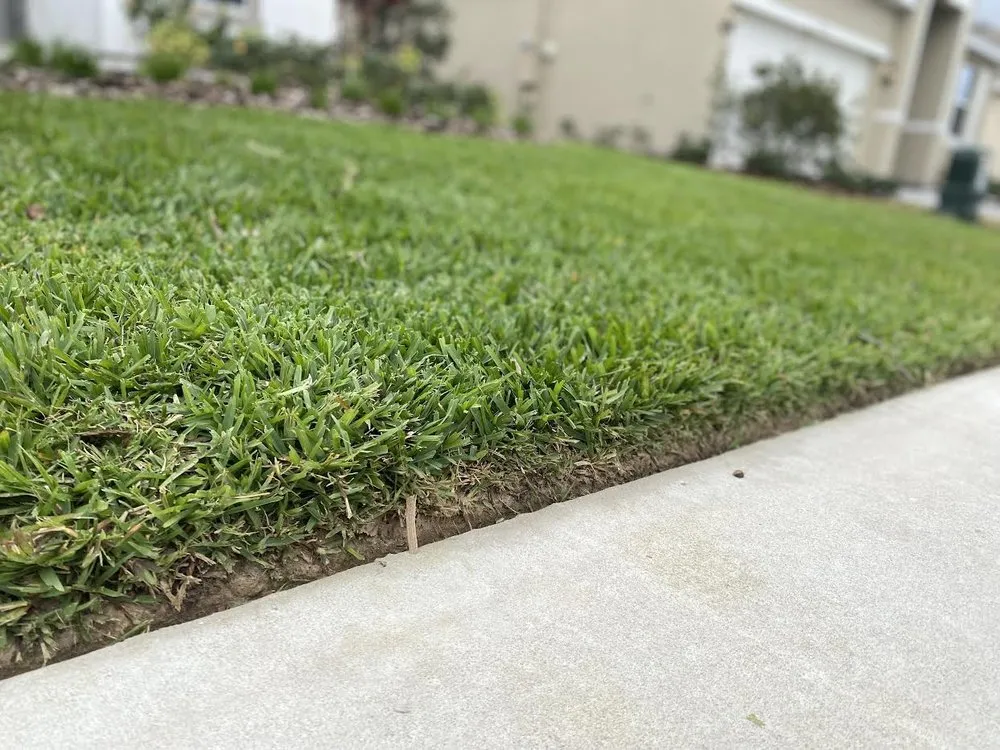 Local outdoor landscaping in Winter Haven, FL - Harry's Lawn Care