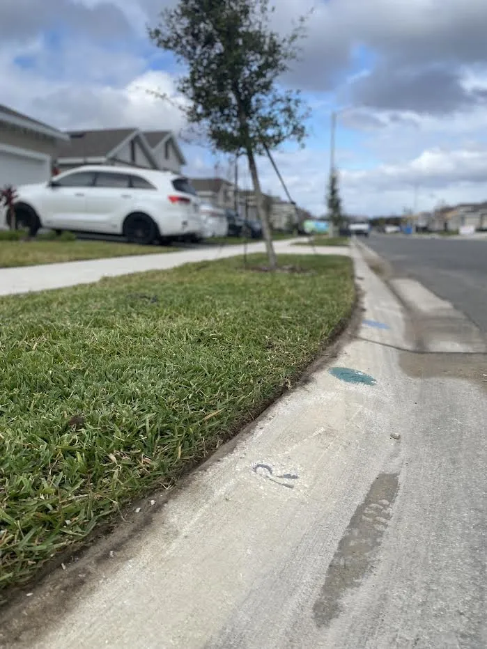 Affordable outdoor landscaping experts serving Winter Haven, FL - Harry's Lawn Care