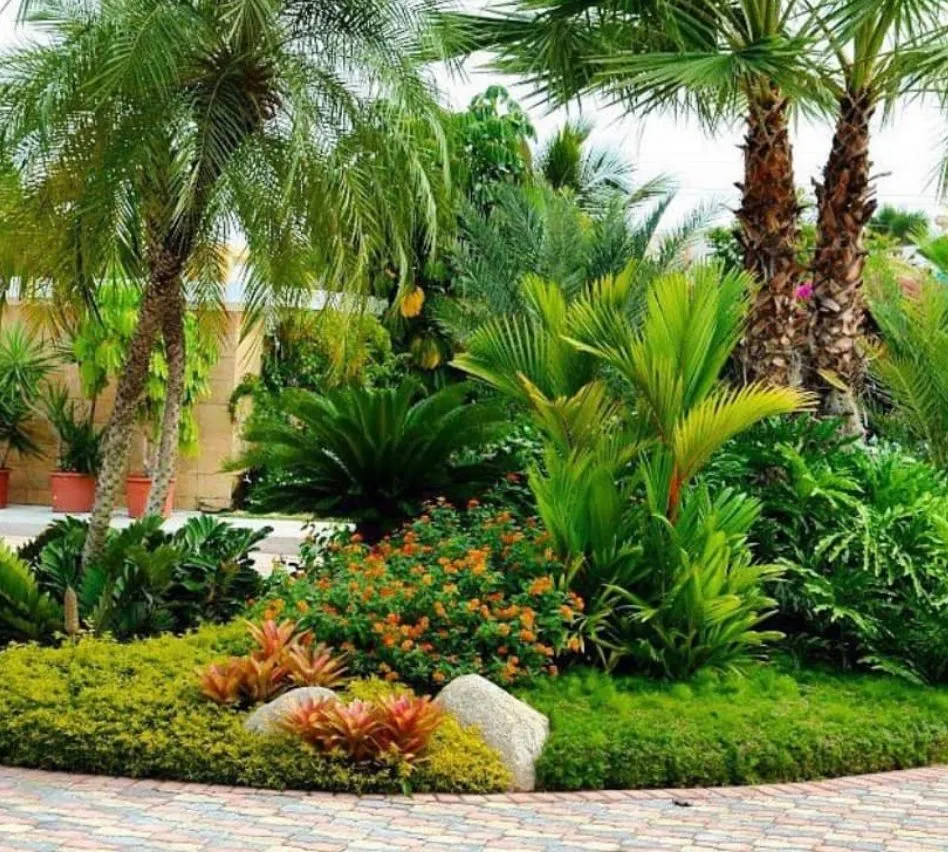 Custom yard cleanup service in Cape Coral, FL by Harry's Lawn Service and more