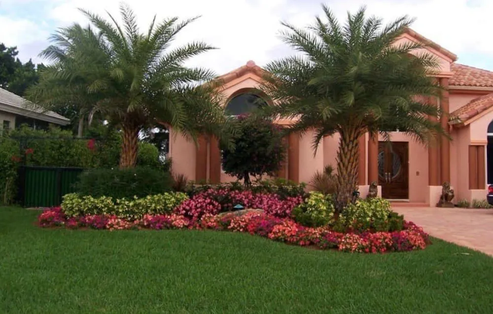 Expert lawn care service for outdoor upgrades in Cape Coral, FL by Harry's Lawn Service and more