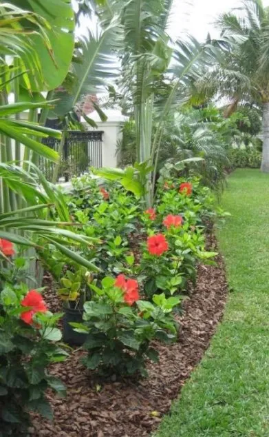 Custom landscaping services in Cape Coral, FL - Harry's Lawn Service and more