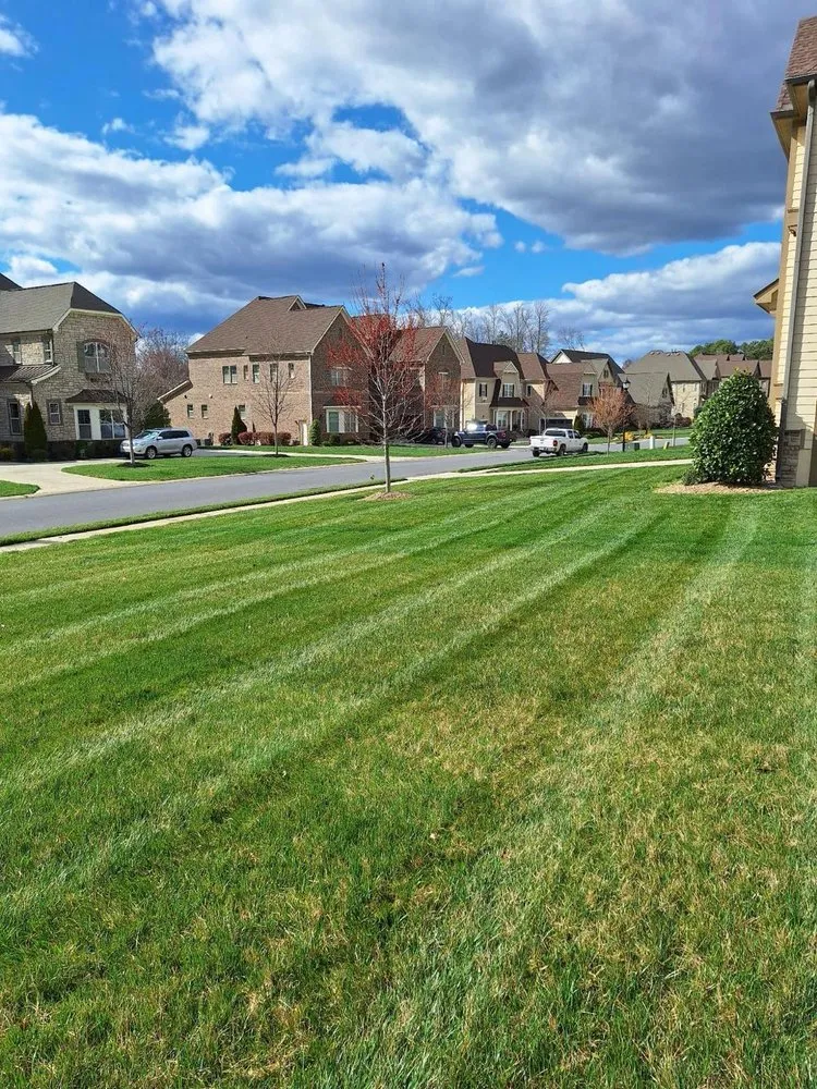 Custom outdoor landscaping experts serving Lancaster, SC - Hart Galan Landscapers