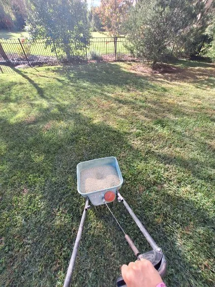 Local lawn care service in Lancaster, SC - Hart Galan Landscapers