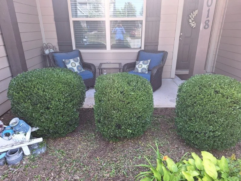 Professional landscape design in Lancaster, SC - Hart Galan Landscapers