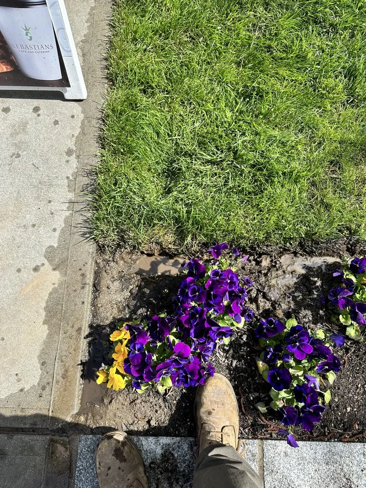 Custom lawn mowing service in Newton, MA - Hart Landscaping