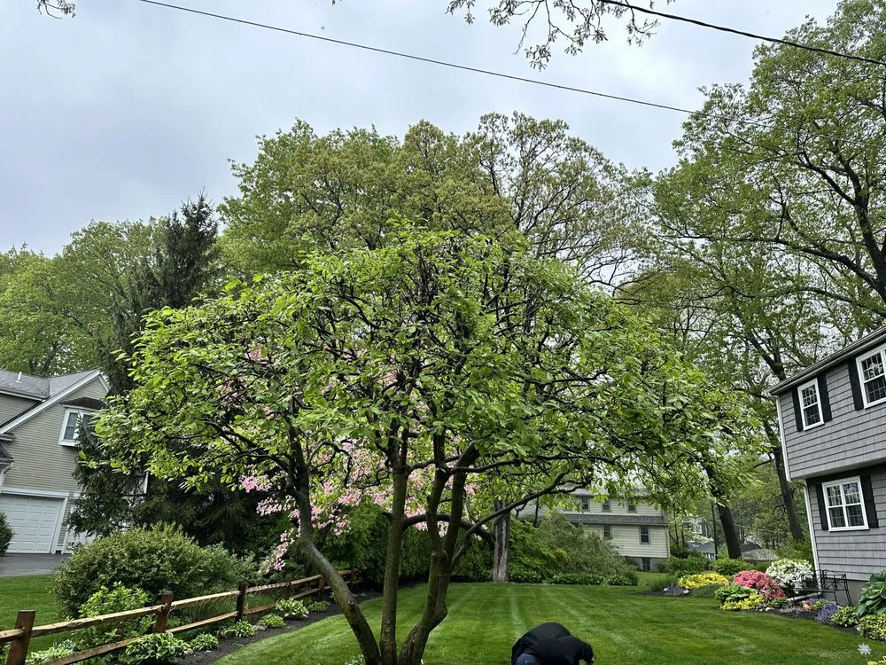 Professional lawn care service for outdoor upgrades across Newton, MA - Hart Landscaping