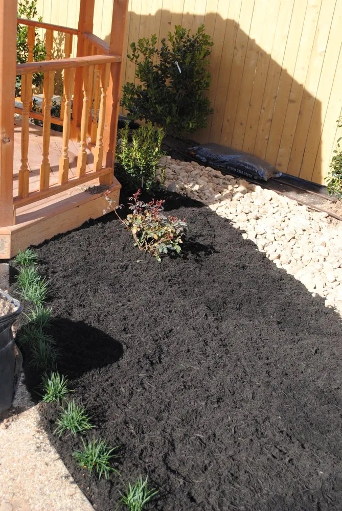 Reliable lawn mowing service in Wellborn, TX - Hart Lawn Care and Irrigation